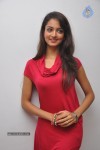 Shanvi Latest Photos - 44 of 85