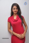 Shanvi Latest Photos - 53 of 85