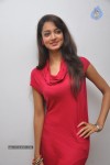 Shanvi Latest Photos - 72 of 85