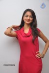 Shanvi Latest Photos - 80 of 85