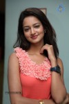 Shanvi New Photos - 3 of 70
