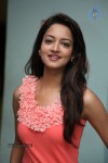 Shanvi New Photos - 48 of 70
