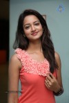 Shanvi New Photos - 66 of 70