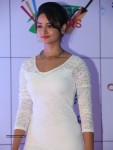 Shanvi Stills - 53 of 78