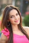 Shazahn Padamsee New Photos - 1 of 80