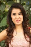 Sheena Bajaj Stills - 21 of 62