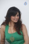 Shilpi Sharma Hot Gallery - 82 of 178