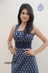 Shraddha Das Latest Gallery - 28 of 54