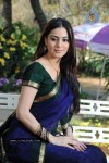 Shradha Arya  Gallery - 8 of 86