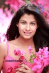 Shreya Dhanwanthary Latest Gallery - 43 of 54