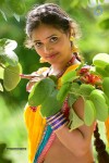 Shreya Gallery - 16 of 20