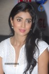 Shriya at CCL Trophy Launch - 79 of 105
