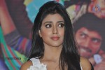 Shriya at Nuvva Nena Movie Press Meet - 5 of 71