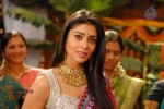 Shriya Hot Gallery - 75 of 75