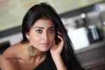 Shriya Hot Gallery - 4 of 23