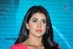 Shriya Latest Gallery - 13 of 56