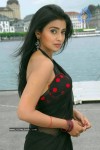 Shriya Latest Photos - 2 of 22