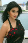 Shriya Latest Photos - 16 of 22