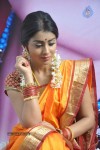 Shriya Latest Photos - 10 of 60