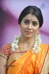 Shriya Latest Photos - 17 of 60