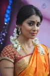 Shriya Latest Photos - 49 of 60