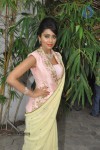Shriya Latest Stills - 58 of 58