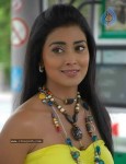 Shriya New Photo Gallery - 6 of 36