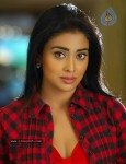 Shriya New Photo Gallery - 8 of 36