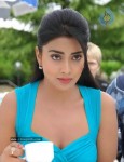 Shriya New Photo Gallery - 10 of 36