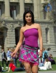 Shriya New Photo Gallery - 11 of 36