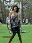 Shriya New Photo Gallery - 18 of 36