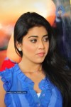 Shriya New Stills - 21 of 61