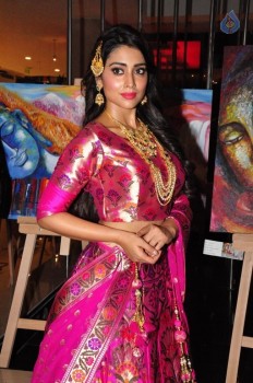 Shriya Saran New Pics - 16 of 42