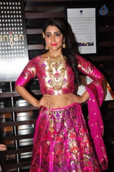 Shriya Saran New Pics - 19 of 42