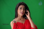 Shriya Latest Stills - 16 of 46