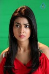 Shriya Latest Stills - 43 of 46