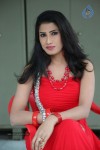 Shruthi Photos - 67 of 67