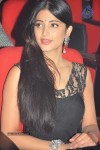Shruti Hassan Photos - 49 of 52