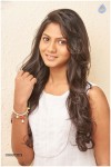 Shruti Reddy Photoshoot Photos - 21 of 22