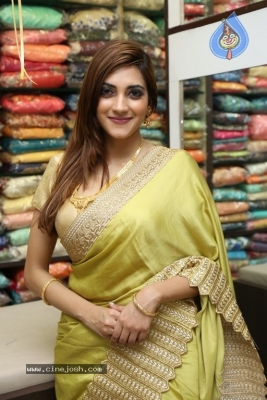 Sita Narayan Gallery - 11 of 18