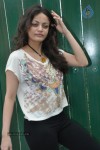 Sneha Ullal Latest Stills - 14 of 43