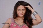 Sneha Ullal New Hot Pics - 50 of 63