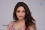 Sneha Ullal New Hot Pics - 53 of 63