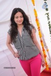 Sneha Ullal New Photos - 12 of 71