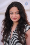 Sneha Ullal New Photos - 22 of 71