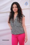 Sneha Ullal New Photos - 23 of 71