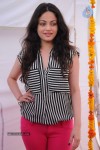 Sneha Ullal New Photos - 24 of 71