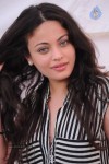 Sneha Ullal New Photos - 25 of 71