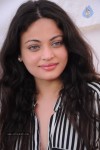 Sneha Ullal New Photos - 38 of 71