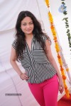 Sneha Ullal New Photos - 41 of 71